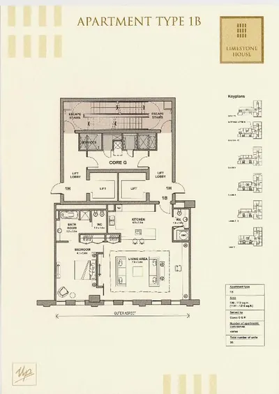 Type 1B