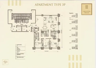 Type 3P