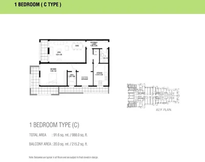 Type 1C