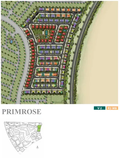 Area Primrose